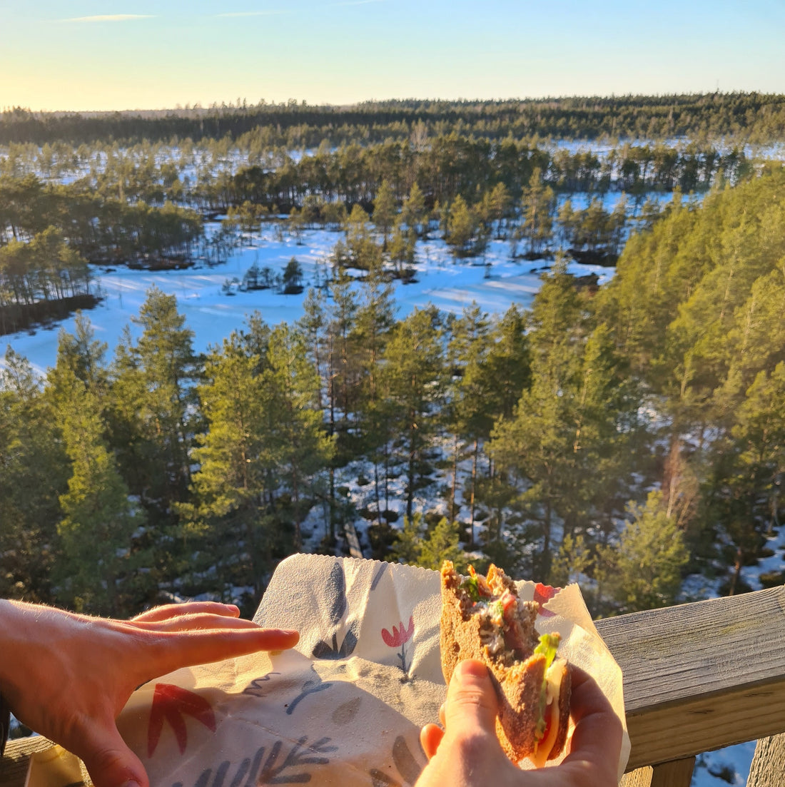 Varför vi avstod från Black Friday