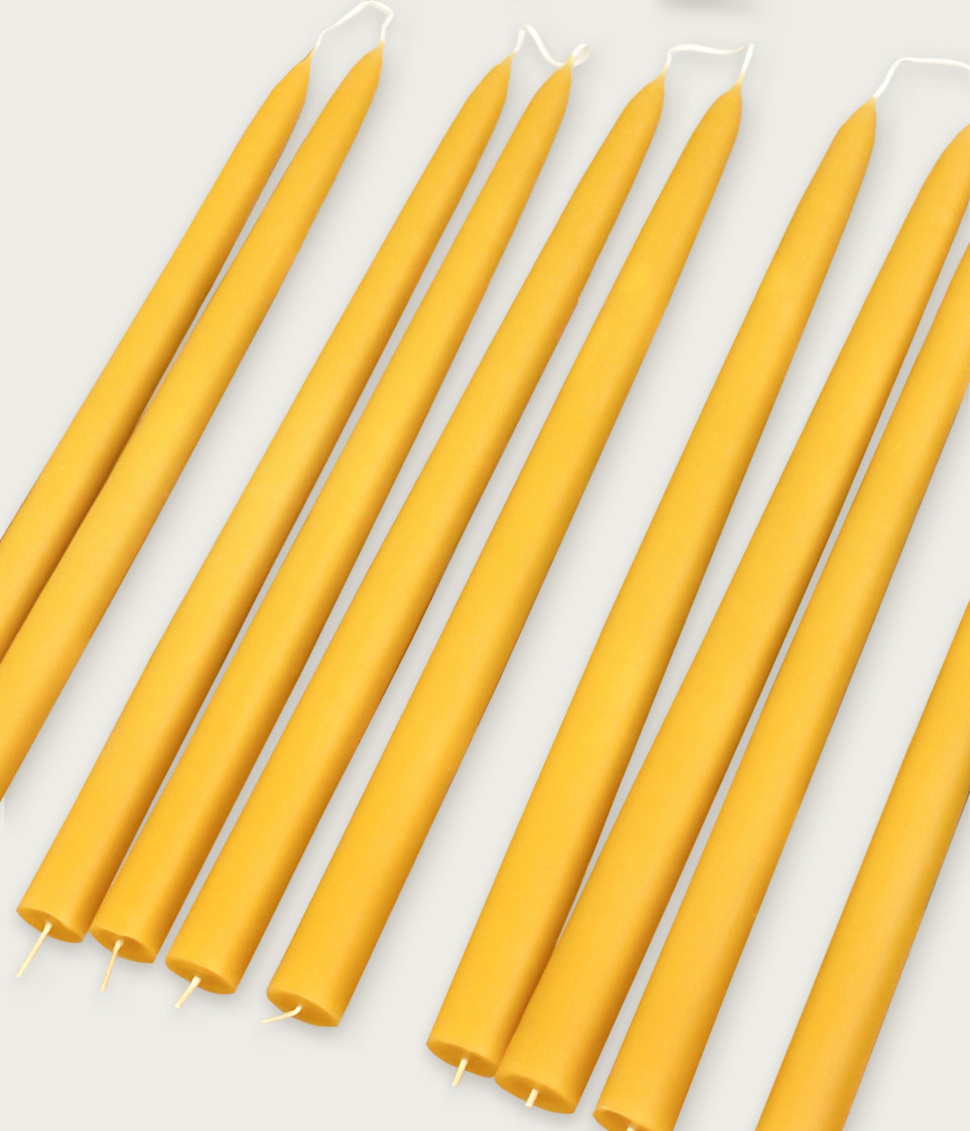 Bivaxljus, kronljus gula